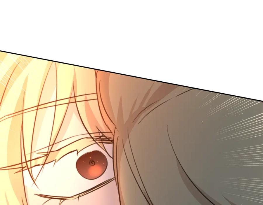 第223页
