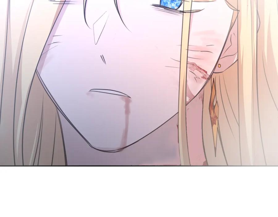 第216页
