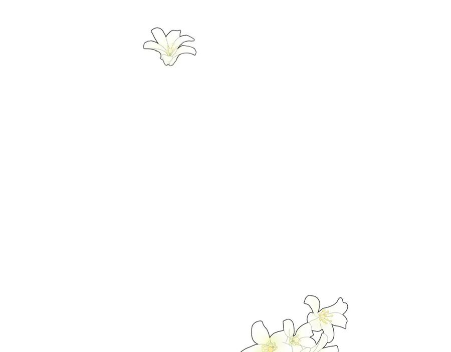 第223页