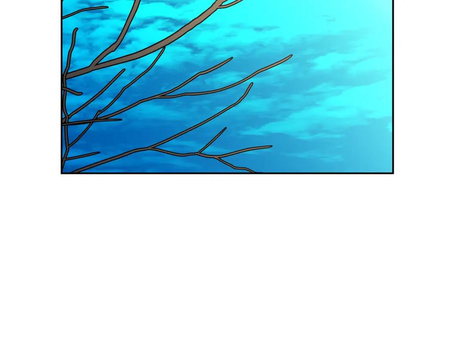 第214页
