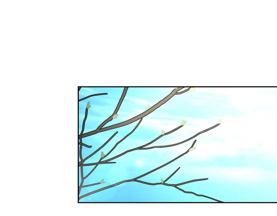 第215页