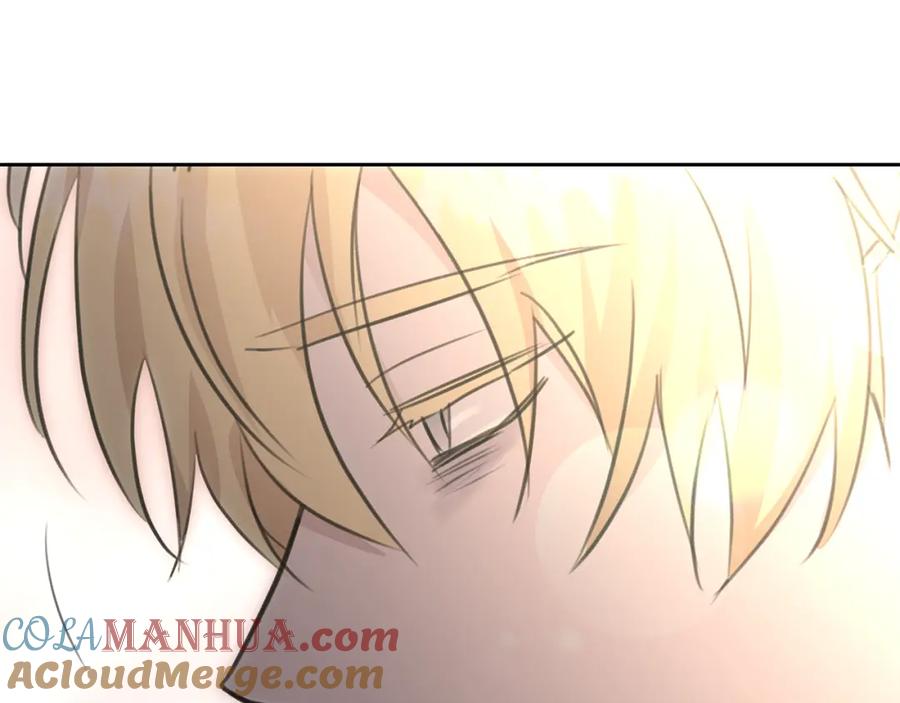 第221页