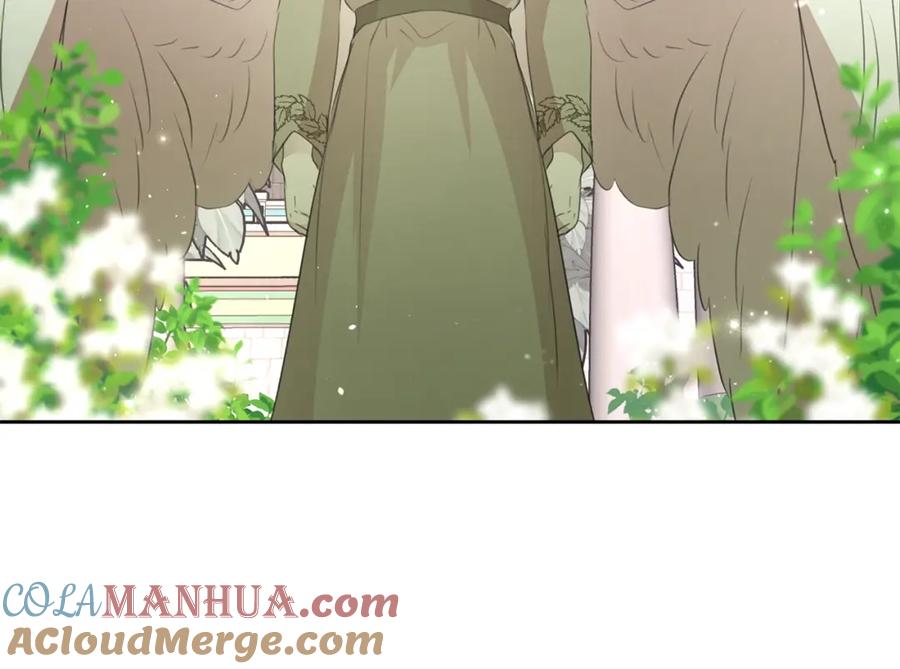 第229页
