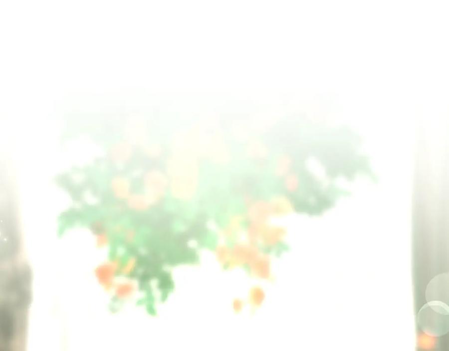 第235页