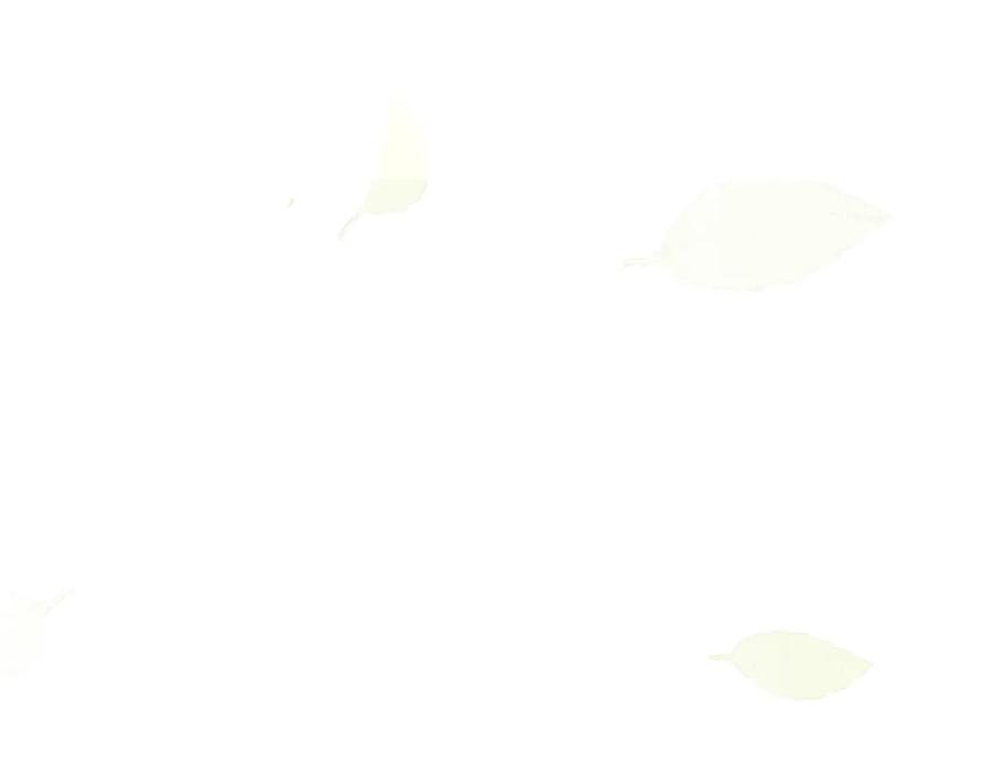 第190页