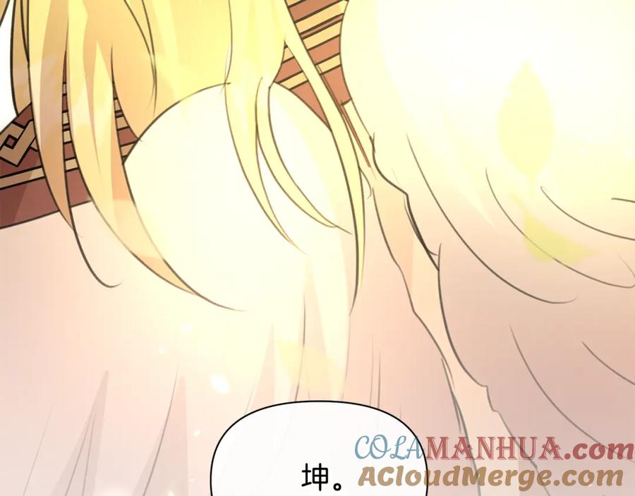 第221页