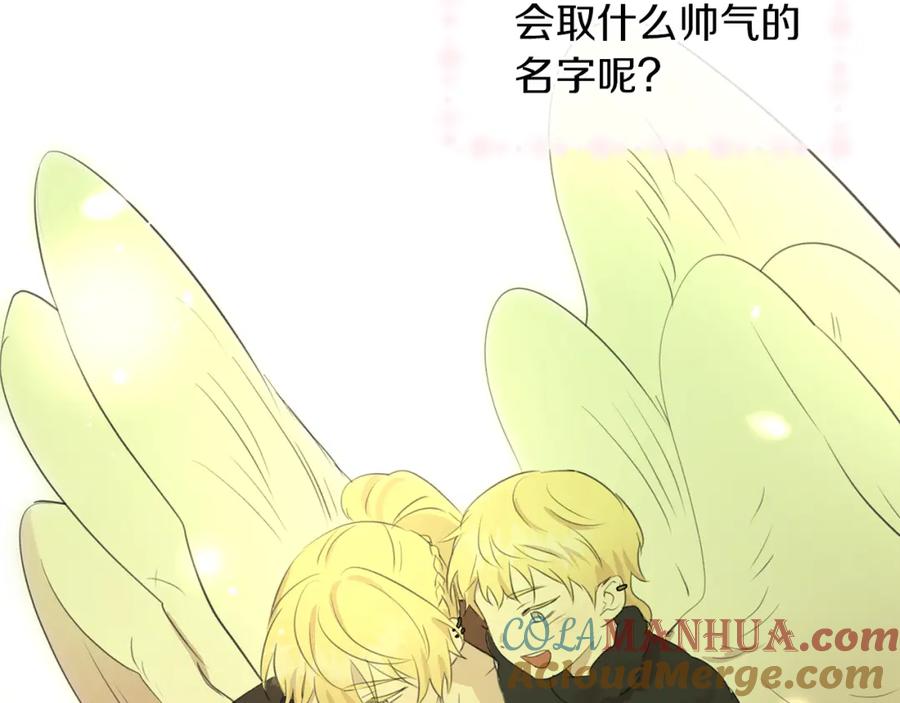 第213页