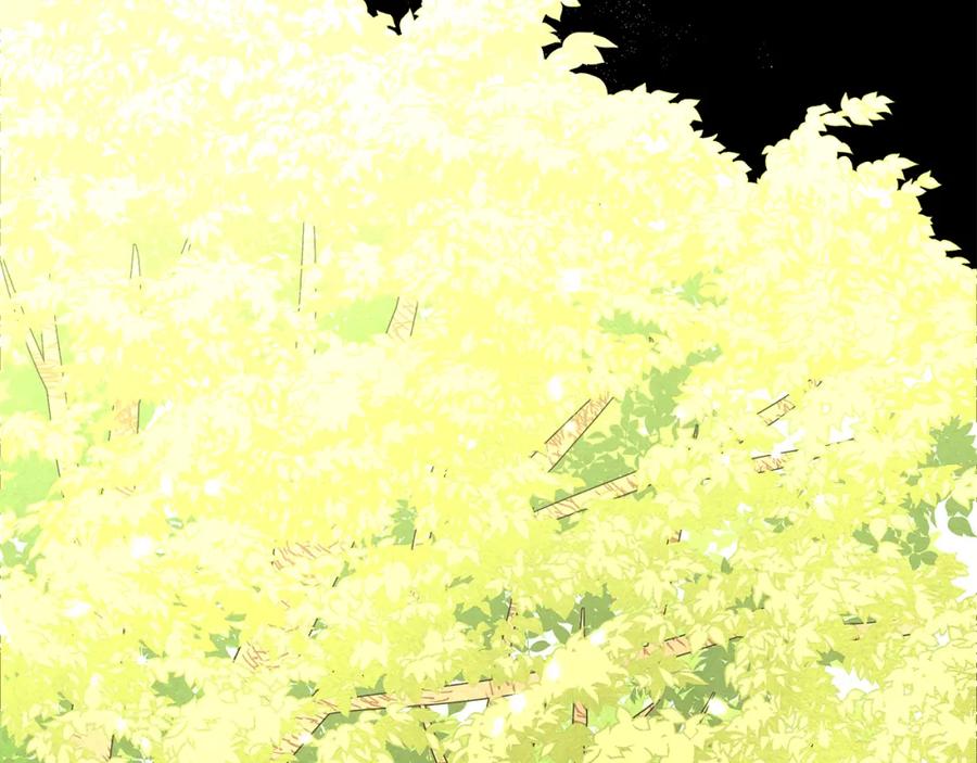 第170页