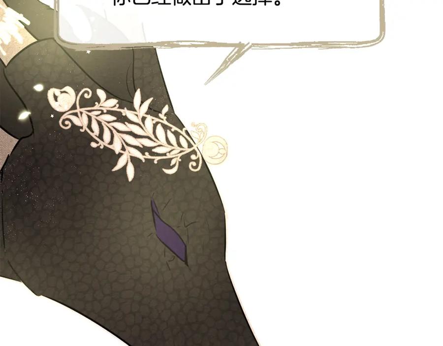 第224页