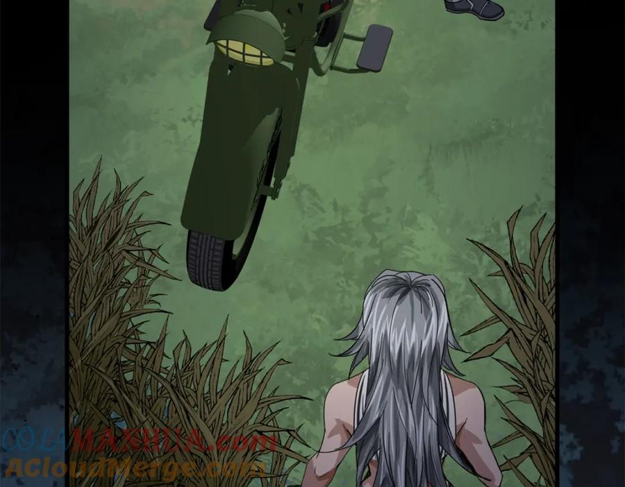 第113页