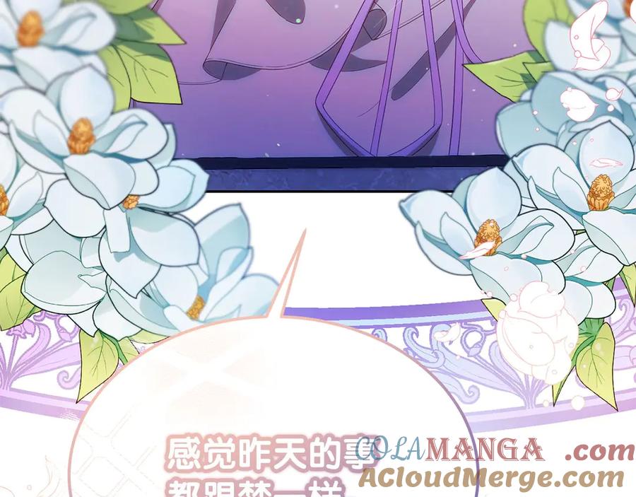 第205页