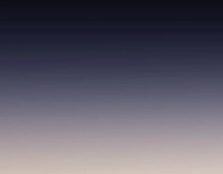 第202页