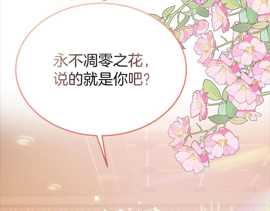 第236页