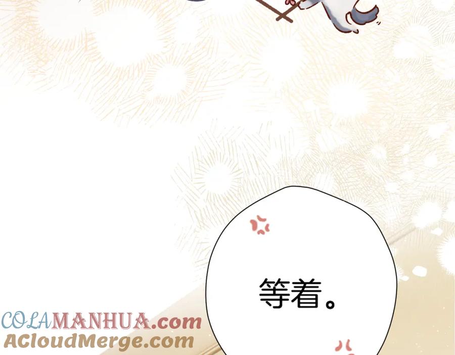 第205页