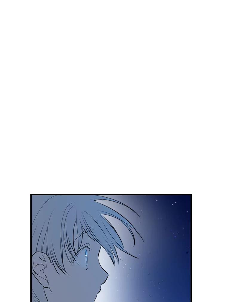 第223页