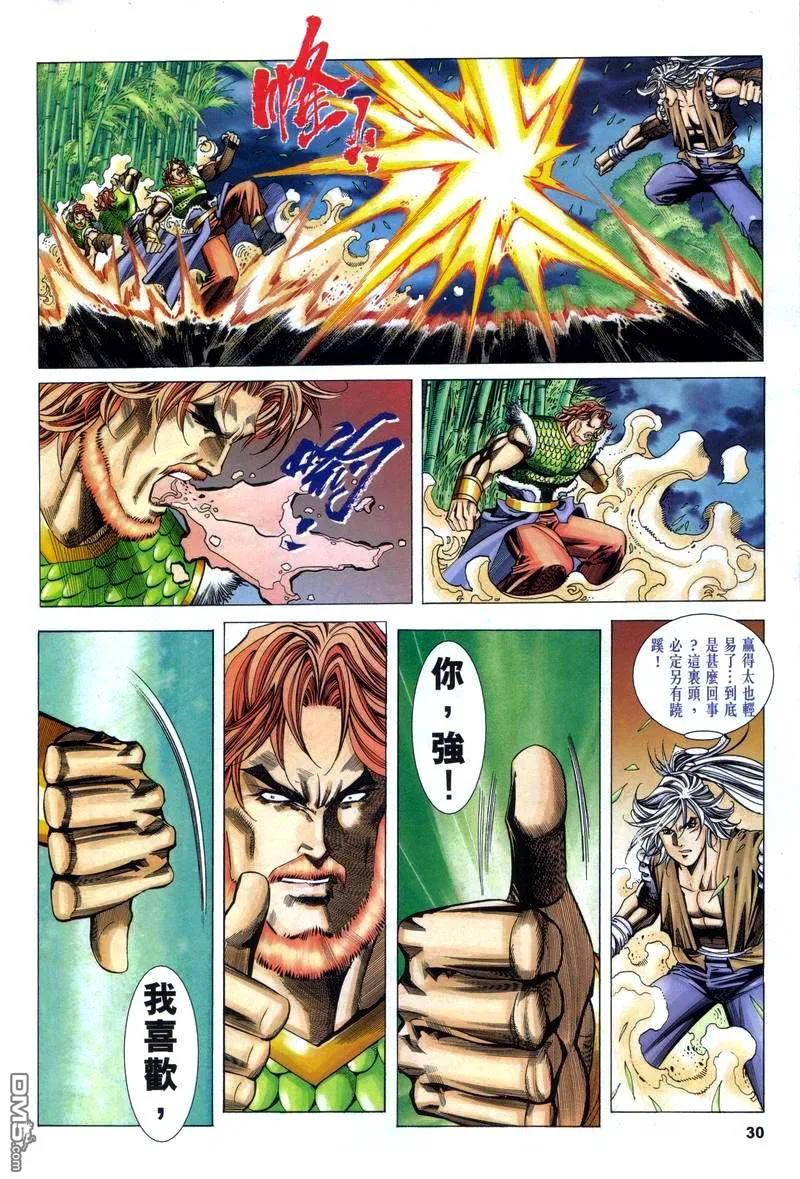 第30页