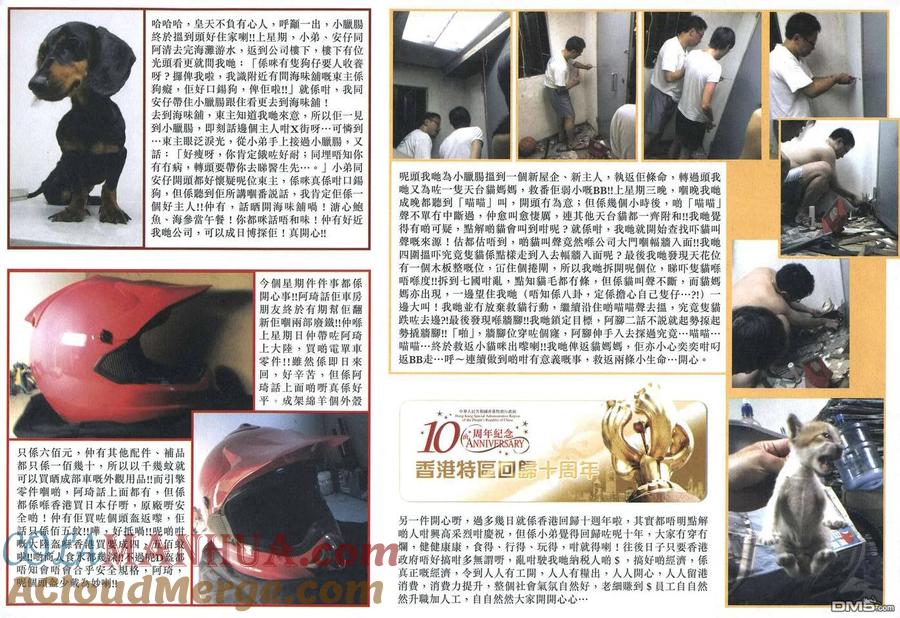 第33页