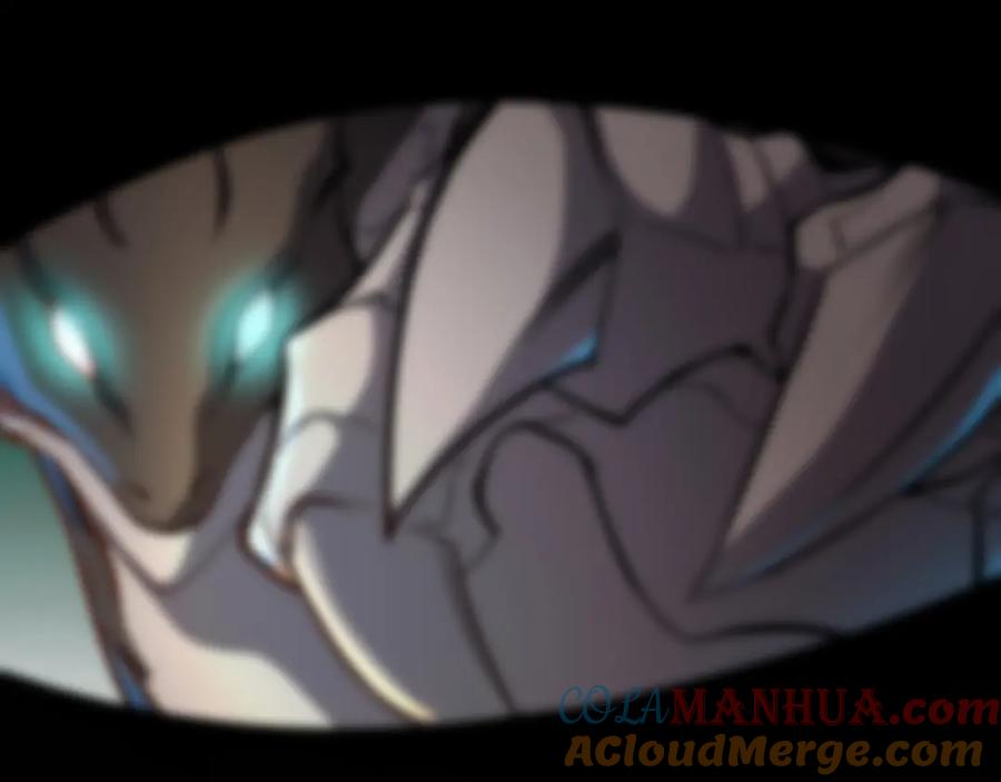 第273页