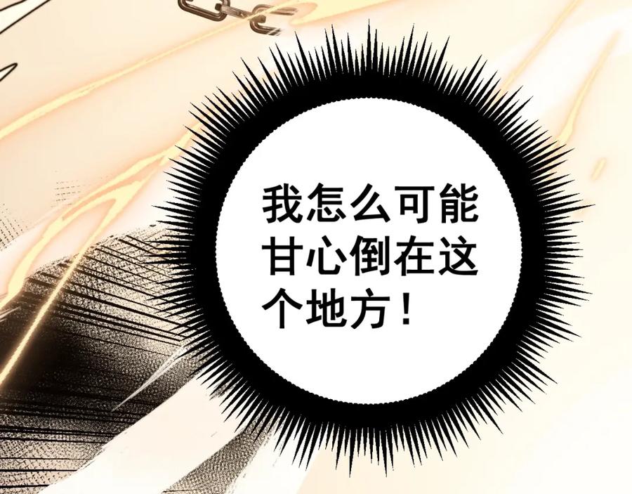 第223页
