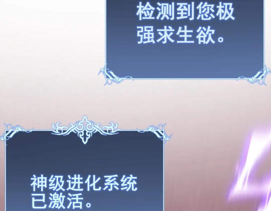 第238页