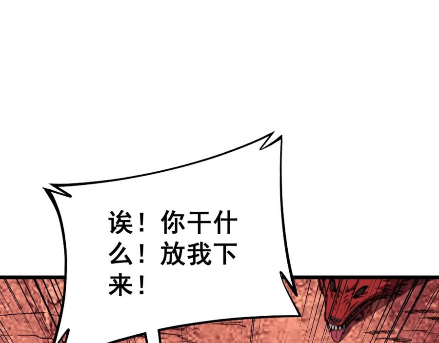 第218页