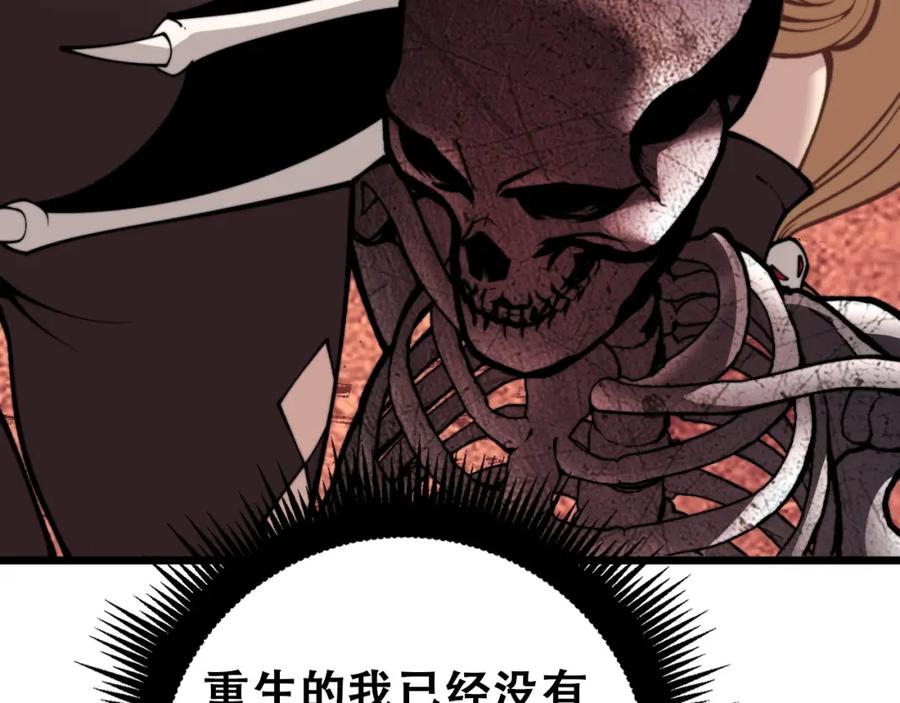 第223页