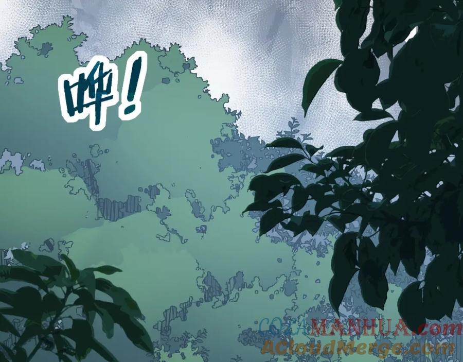 第241页