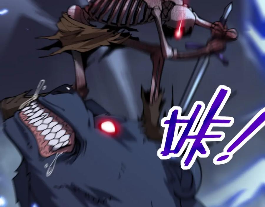 第204页