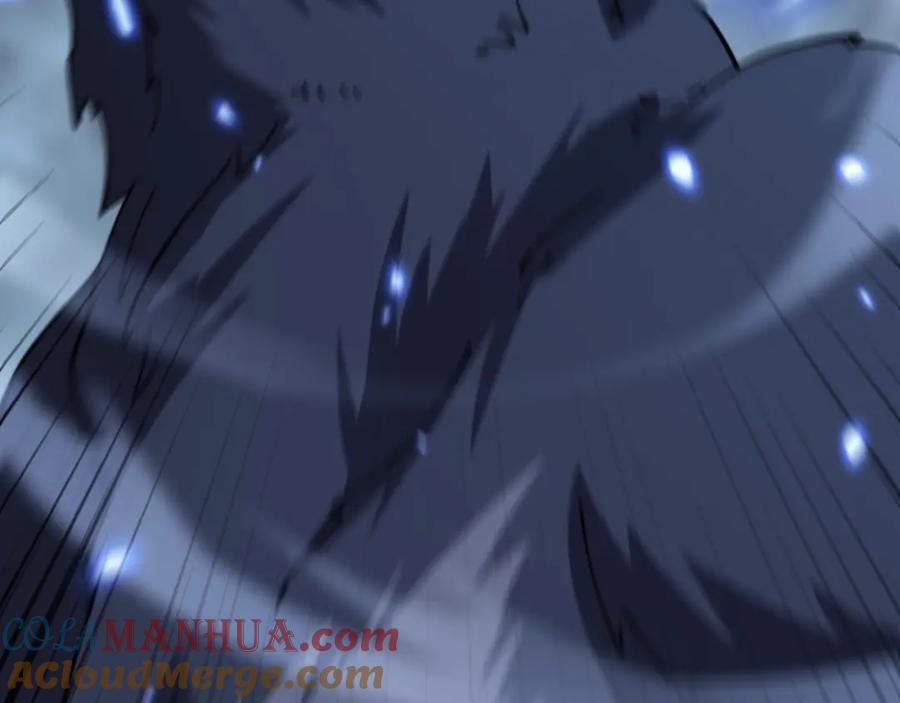 第205页