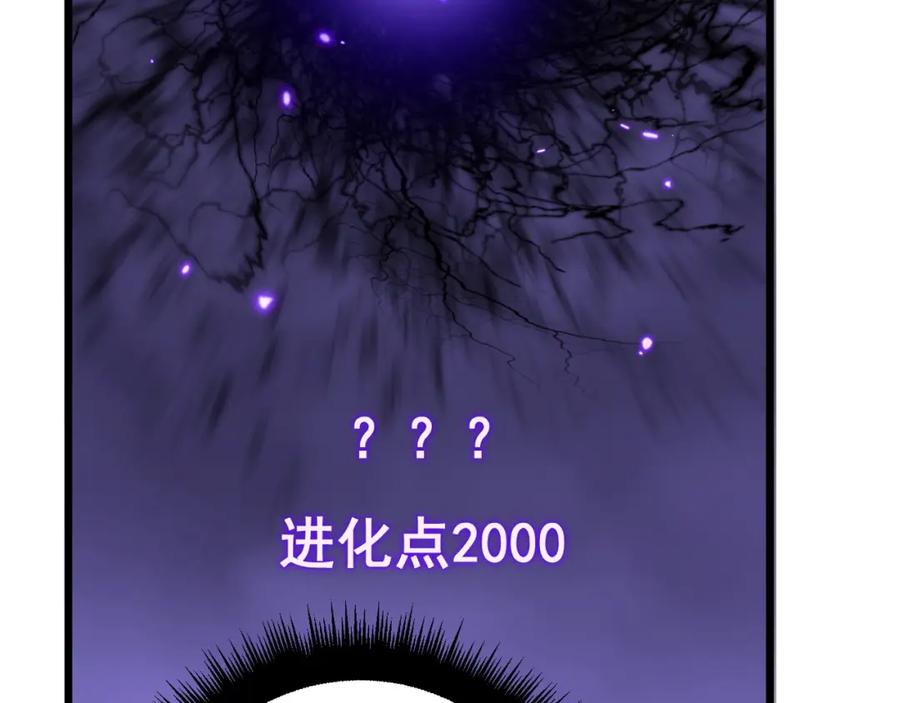 第278页