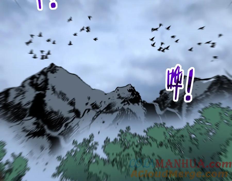 第205页