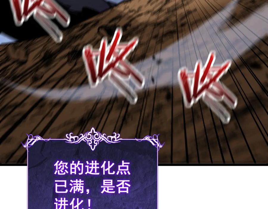 第206页