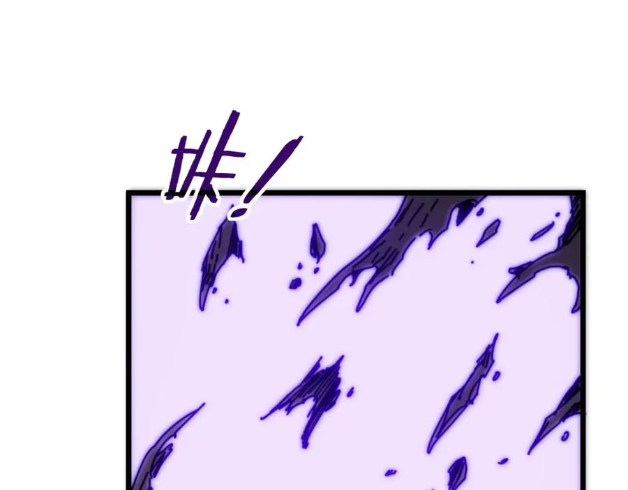 第215页