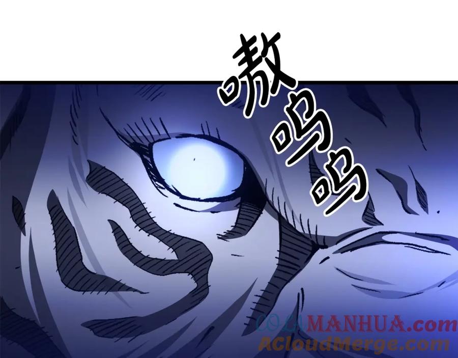 第205页