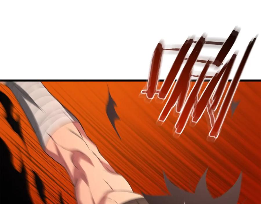 第242页