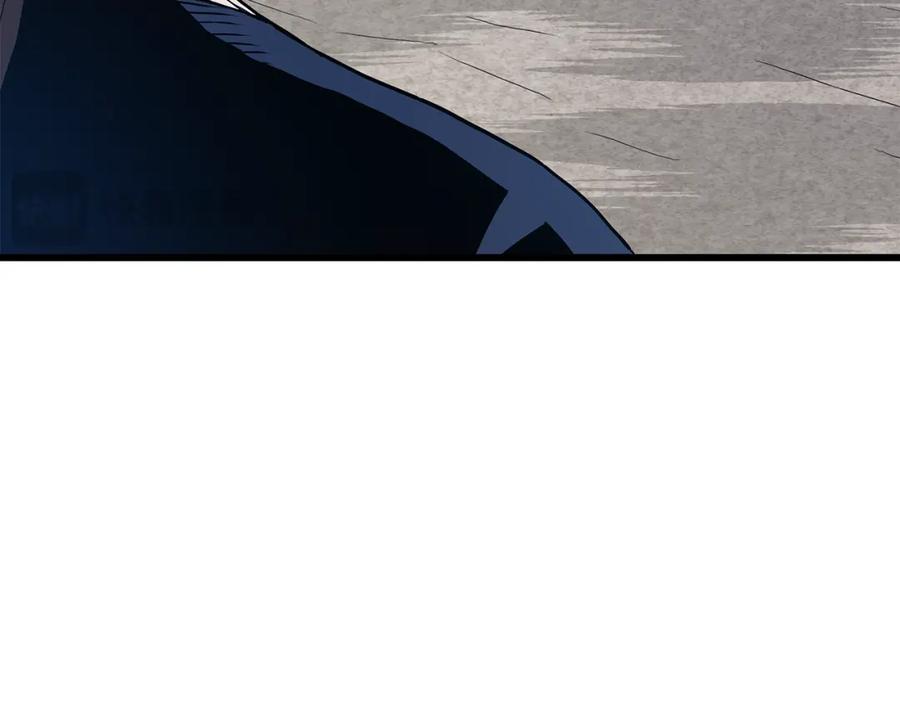 第206页