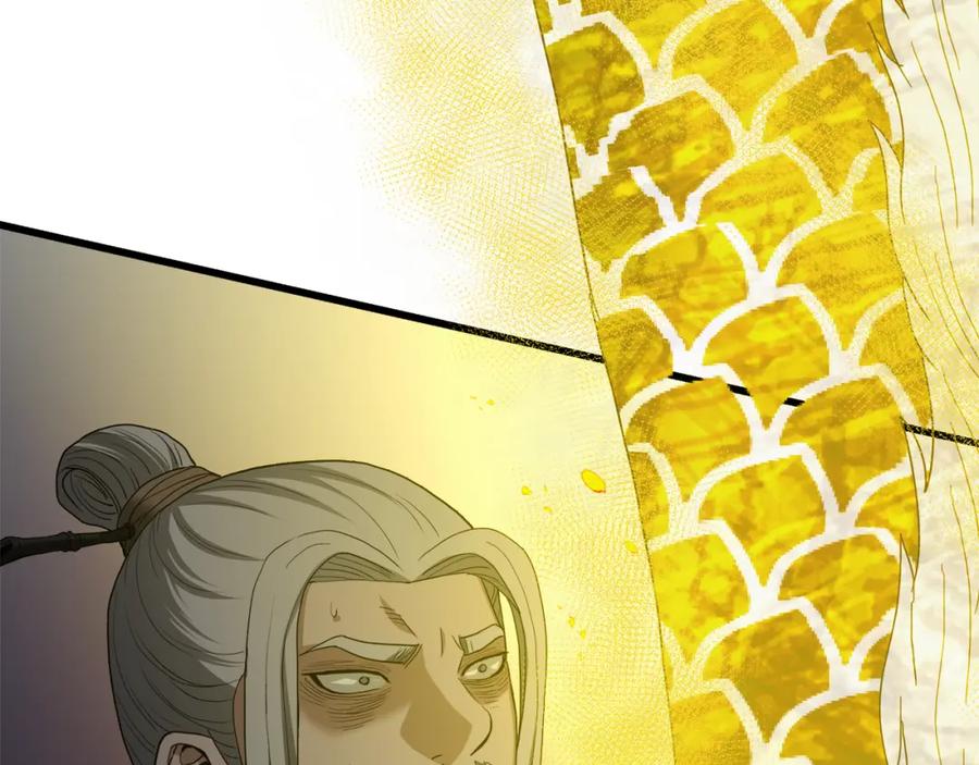 第204页