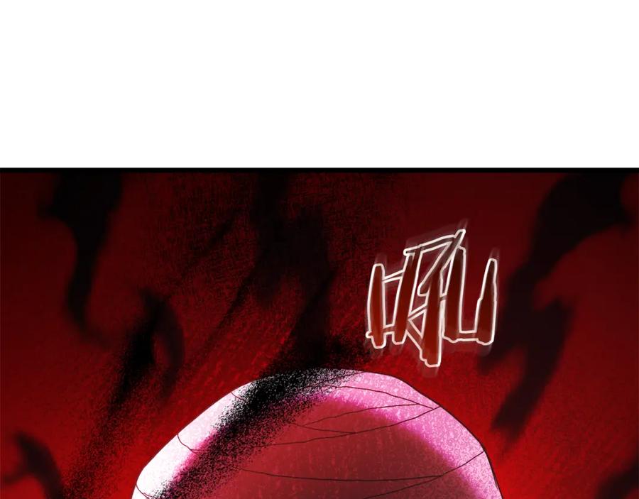 第215页
