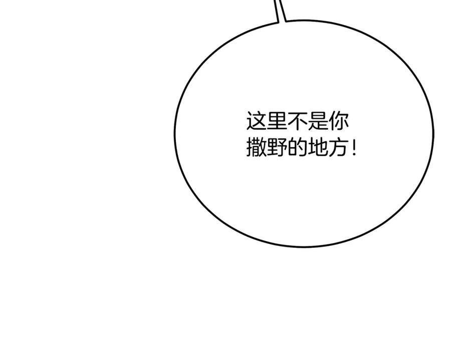 第233页
