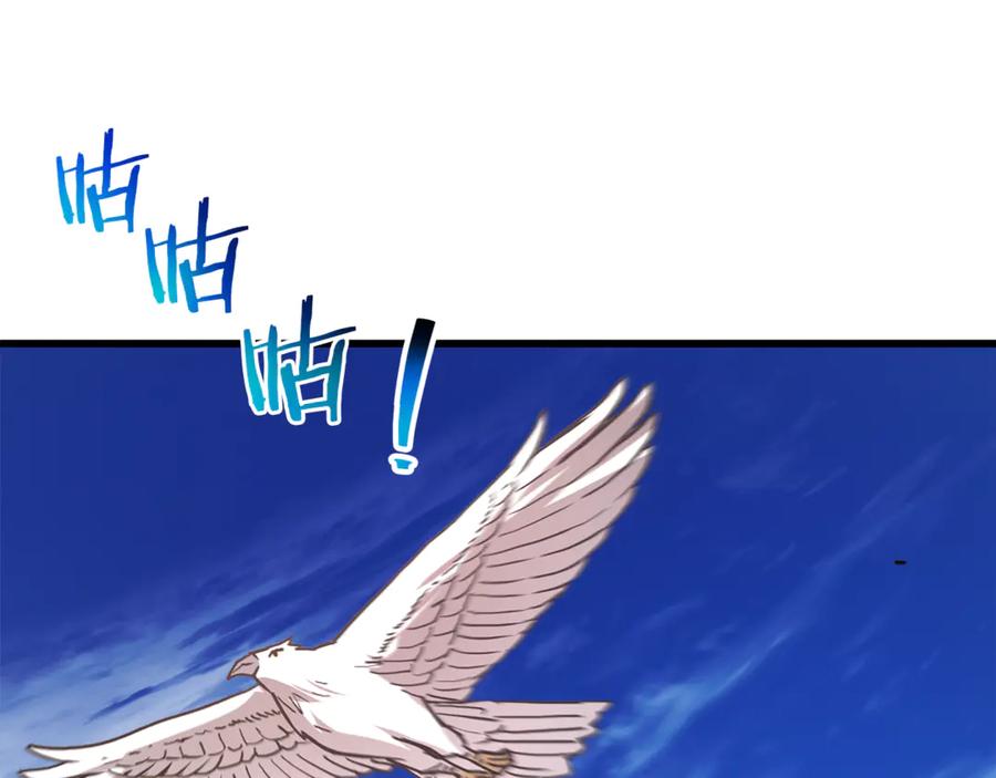 第204页