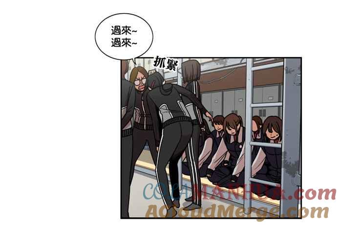 第55页