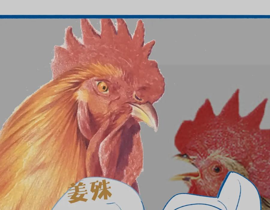 第102页