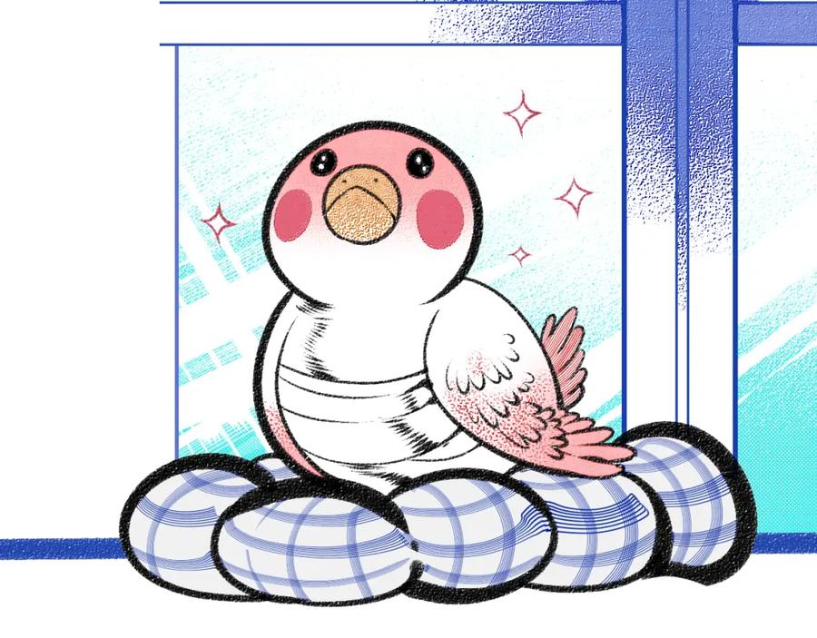 第43页