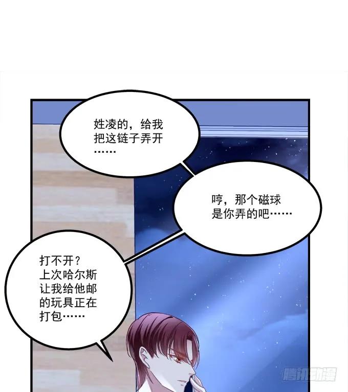 第51页