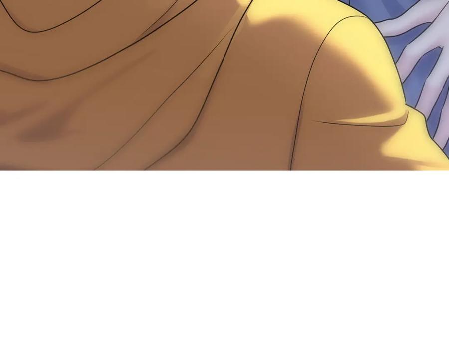 第333页