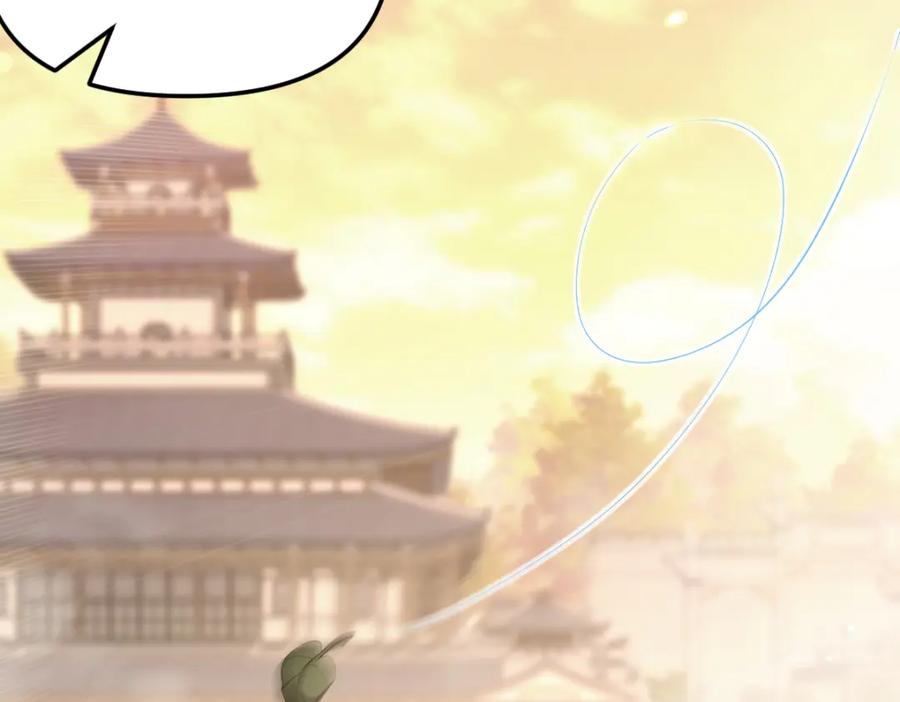 第256页