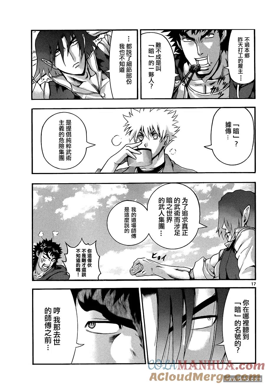 第17页