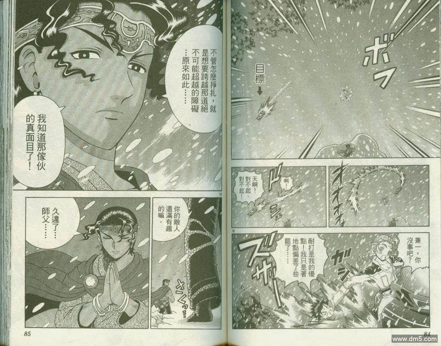 第43页