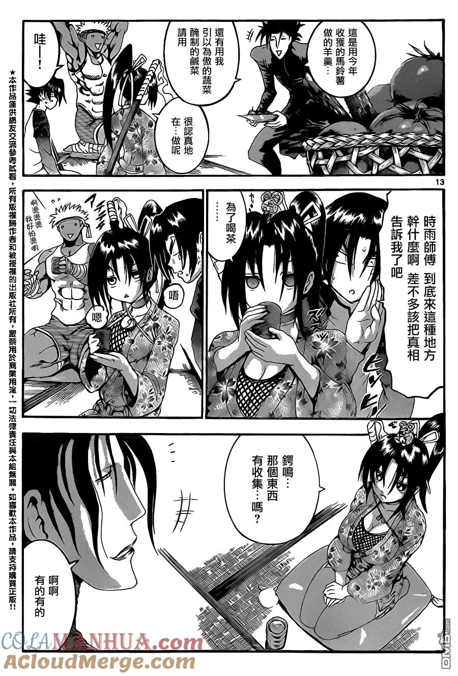 第13页