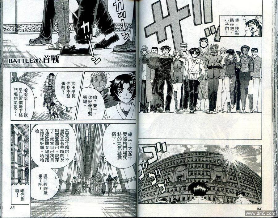 第43页